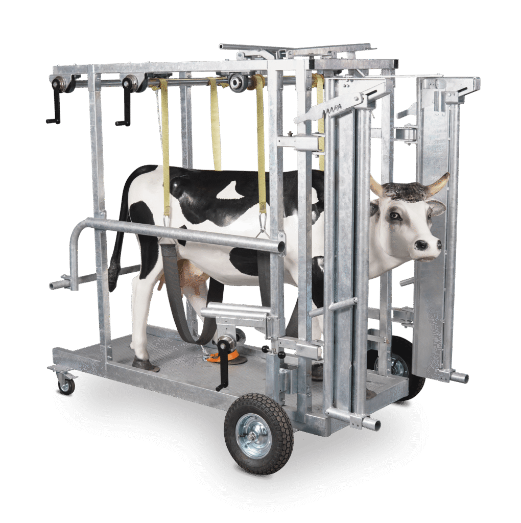 Mangas de manejo y equipamiento de cuidado animal