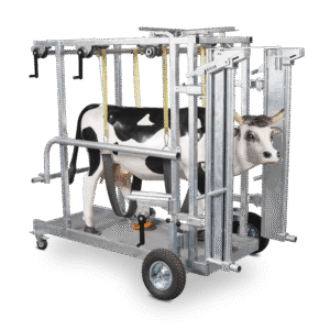 Mangas de manejo y equipamiento de cuidado animal