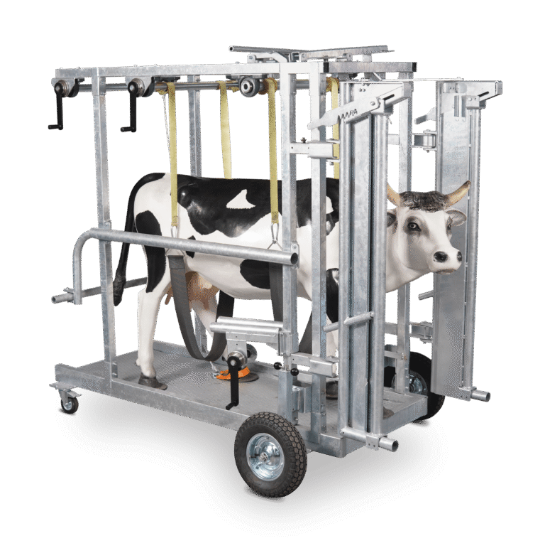 Mangas de manejo y equipamiento de cuidado animal